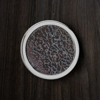 Tungsten and Dinosaur Bone Premium Golf Ball Marker by Doubloon Golf