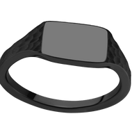 Small Horizontal Rectangle signet ring (12x9mm) in Zirconium, with a Thin style band.