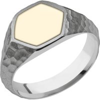 Medium Hexagon signet ring (13.9x12mm) in Titanium, with a Wide style band, a 14K Yellow Gold inlay.