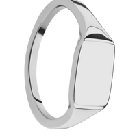 Small Horizontal Rectangle signet ring (12x9mm) in Titanium, with a Thin style band.