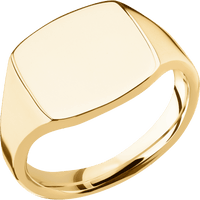 Medium Cushion signet ring (14x14mm) in 10K Yellow Gold, with a Thin style band.