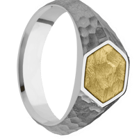 Small Hexagon signet ring (11.5x10) in Titanium, with a Wide style band, a 14K Yellow Gold inlay.