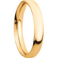 10K Yellow Gold + Polish Finish