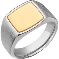 Medium Cushion signet ring (14x14mm) in Titanium, with a Wide style band, a 14K Yellow Gold inlay.