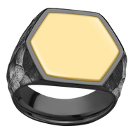 Extra Large Hexagon signet ring (23x20mm) in Zirconium, with a Wide style band, a 14K Yellow Gold inlay.