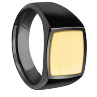 Medium Cushion signet ring (14x14mm) in Zirconium, with a Wide style band, a 14K Yellow Gold inlay.