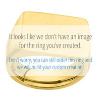 Large Horizontal Rectangle signet ring (20x14.5mm) in 14K Yellow Gold, with a Wide style band, a Red Dino Bone inlay.