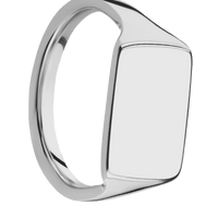 Medium Horizontal Rectangle signet ring (16x11.5mm) in Titanium, with a Thin style band.