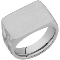 Large Horizontal Rectangle signet ring (20x14.5mm) in Titanium, with a Wide style band.