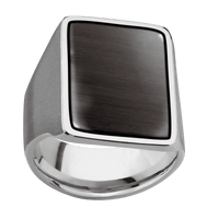 Extra Large Rectangle signet ring (24x17mm) in Titanium, with a Wide style band, a Madagascar Rose Wood inlay.