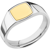 Small Cushion signet ring (10x10mm) in 14K White Gold, with a Wide style band, a 14K Yellow Gold inlay.