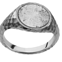 Medium Circle signet ring (14mm) in Platinum, with a Thin style band, a Meteorite inlay.