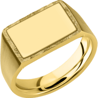 Medium Horizontal Rectangle signet ring (16x11.5mm) in 18K Yellow Gold, with a Wide style band, a 18K Yellow Gold inlay.