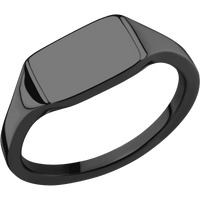 Small Horizontal Rectangle signet ring (12x9mm) in Zirconium, with a Thin style band.