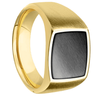 Medium Cushion signet ring (14x14mm) in 14K Yellow Gold, with a Wide style band, a Zirconium inlay.