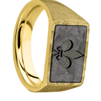 Medium Horizontal Rectangle signet ring (16x11.5mm) in 10K Yellow Gold, with a Wide style band, a Tantalum Noir inlay and a Fleur De Lis engraving.