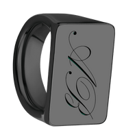 Extra Large Horizontal Rectangle signet ring in Zirconium, with a Wide style band and a Kunstler Script 2 engraving.