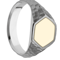 Medium Hexagon signet ring (13.9x12mm) in Titanium, with a Wide style band, a 14K Yellow Gold inlay.