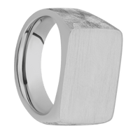 Large Horizontal Rectangle signet ring (20x14.5mm) in Titanium, with a Wide style band.