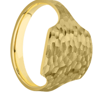 Medium Cushion signet ring (14x14mm) in 14K Yellow Gold, with a Cigar style band.