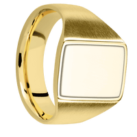 Medium Rectangle signet ring (16x11.5mm) in 18K Yellow Gold, with a Wide style band, a 14K Yellow Gold inlay.