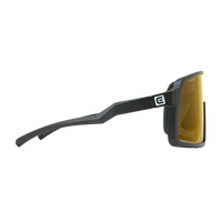 Forza (Black/Blue Anti-Reflective, Mirrored, Oleo-phobic Lens)