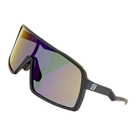 Forza (Black/Blue Anti-Reflective, Mirrored, Oleo-phobic Lens)