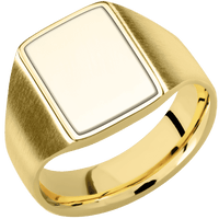 Medium Rectangle signet ring (16x11.5mm) in 18K Yellow Gold, with a Wide style band, a 14K Yellow Gold inlay.