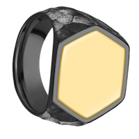 Extra Large Hexagon signet ring (23x20mm) in Zirconium, with a Wide style band, a 14K Yellow Gold inlay.