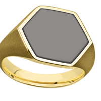 Large Hexagon signet ring (18.5x16mm) in 10K Yellow Gold, with a Thin style band, a Tantalum Noir inlay.
