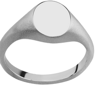 Small Oval signet ring (12x9mm) in Titanium, with a Thin style band.