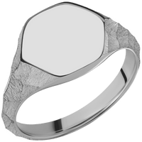 Medium Hexagon signet ring (13.9x12mm) in Titanium, with a Thin style band.