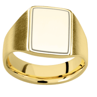Medium Rectangle signet ring (16x11.5mm) in 18K Yellow Gold, with a Wide style band, a 14K Yellow Gold inlay.