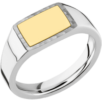 Small Horizontal Rectangle signet ring (12x9mm) in Palladium Silver, with a Wide style band, a 14K Yellow Gold inlay.