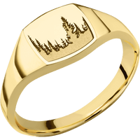 Small Cushion signet ring (10x10mm) in 10K Yellow Gold, with a Thin style band and a Trees engraving.