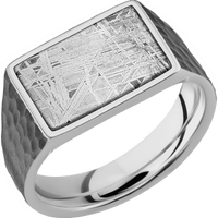 Medium Horizontal Rectangle signet ring (16x11.5mm) in Titanium, with a Wide style band, a Meteorite inlay.