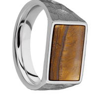 Medium Horizontal Rectangle signet ring (16x11.5mm) in Titanium, with a Wide style band, a Tigers Eye inlay.