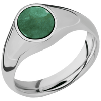 Small Oval signet ring (12x9mm) in Titanium, with a Wide style band, a Washington Green Jade inlay.