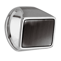 Extra Large Rectangle signet ring (24x17mm) in Titanium, with a Wide style band, a Madagascar Rose Wood inlay.