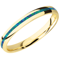 14K Yellow Gold + Polish Finish