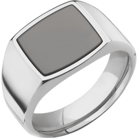 Medium Cushion signet ring (14x14mm) in Titanium, with a Wide style band, a Tantalum Noir inlay.