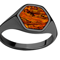 Medium Hexagon signet ring (13.9x12mm) in Zirconium, with a Thin style band, a Bronze Abalone inlay.