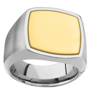Large Cushion signet ring (18x18mm) in Titanium, with a Wide style band, a 14K Yellow Gold inlay.