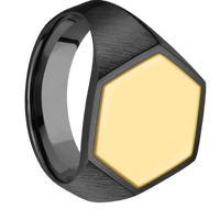 Large Hexagon signet ring (18.5x16mm) in Zirconium, with a Wide style band, a 14K Yellow Gold inlay.