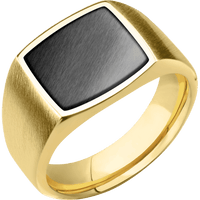 Medium Cushion signet ring (14x14mm) in 14K Yellow Gold, with a Wide style band, a Zirconium inlay.