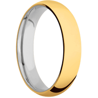 22K Yellow Gold + Polish Finish + Titanium