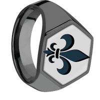 Large Hexagon signet ring (18.5x16mm) in Zirconium, with a Wide style band, a Titanium inlay and a Fleur De Lis engraving.