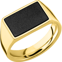 Medium Horizontal Rectangle signet ring (16x11.5mm) in 10K Yellow Gold, with a Wide style band, a Zirconium inlay.