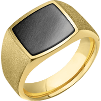 Medium Cushion signet ring (14x14mm) in 14K Yellow Gold, with a Wide style band, a Zirconium inlay.
