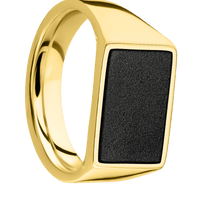 Medium Horizontal Rectangle signet ring (16x11.5mm) in 10K Yellow Gold, with a Wide style band, a Zirconium inlay.
